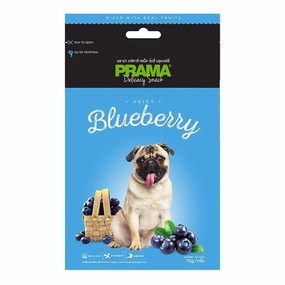 Prama Delicacy Snack Juicy Blueberry 70g