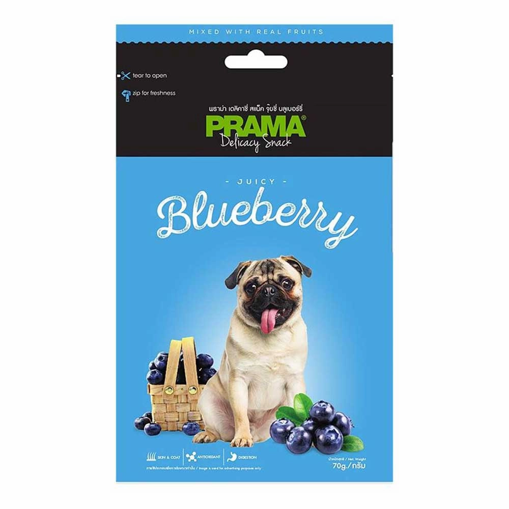 Prama Delicacy Snack Juicy Blueberry 70g