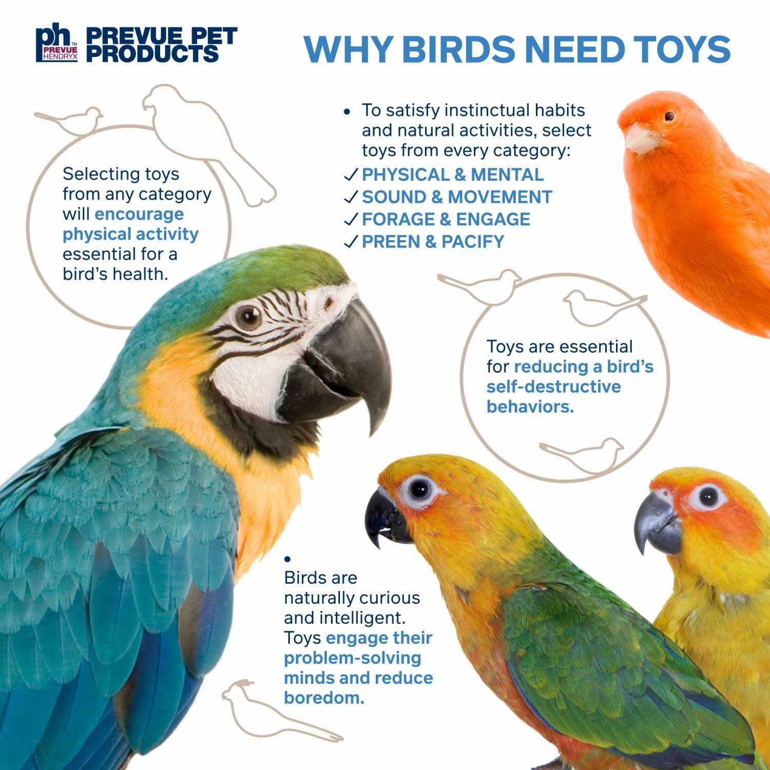 Prevue Pet Products Treat Basket Bird Toy
