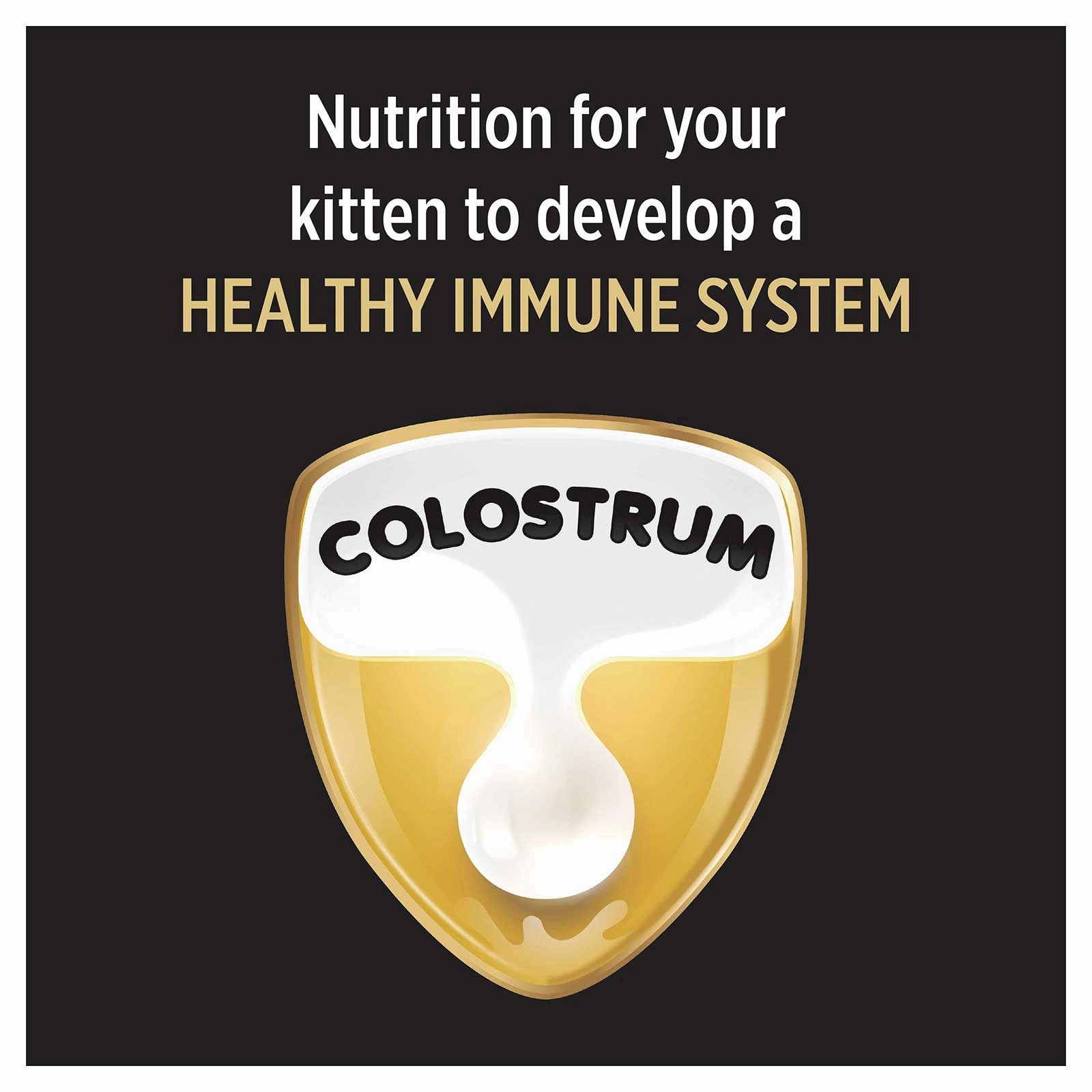 Pro Plan Cat Food Kitten Chicken