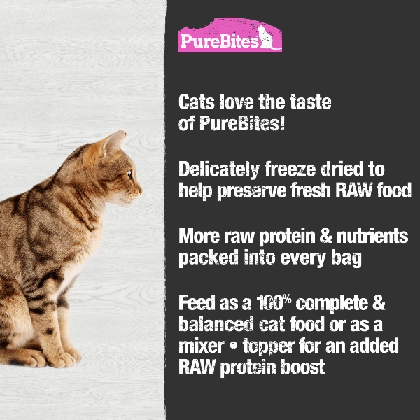 PureBites Freeze Dried Salmon Recipe Food Topper For Cats