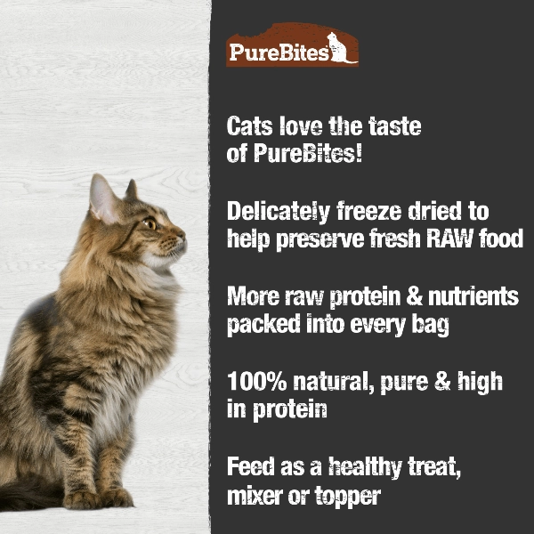 PureBites Freeze Dried Turkey Cat Treat, 26g