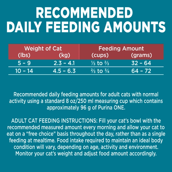 Purina ONE Salmon & Rice Formula Dry Cat Food, 1.59kg