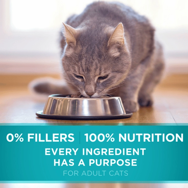Purina ONE True Instinct Grain Free Real Chicken Dry Cat Food, 1.45kg