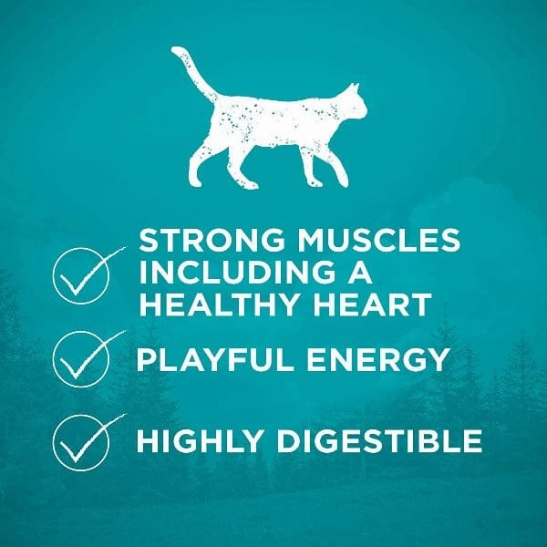 Purina ONE True Instinct Grain Free Real Chicken Dry Cat Food, 1.45kg