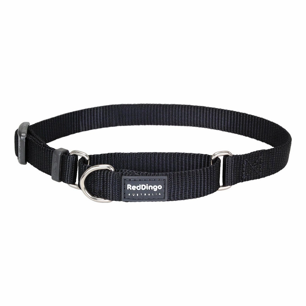 Red Dingo Dog Martingale Collar Black (15mm x 24-36cm)