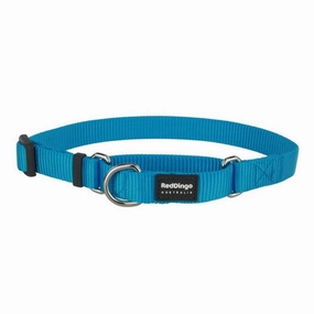 Red Dingo Dog Martingale Collar Turquoise (12mm x 21-33cm)