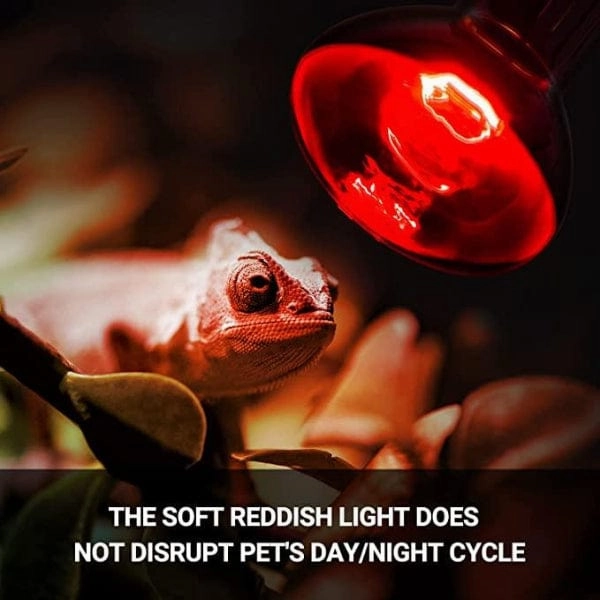 Reptizoo Combo Daylight & Nightlight Heat Lamps