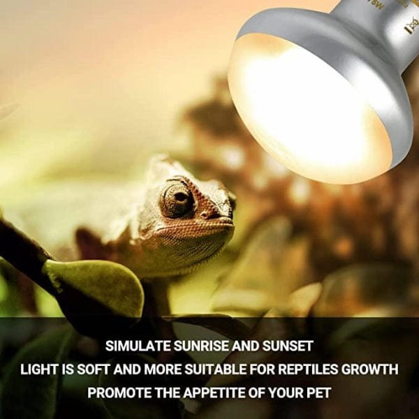 Reptizoo Combo Daylight & Nightlight Heat Lamps