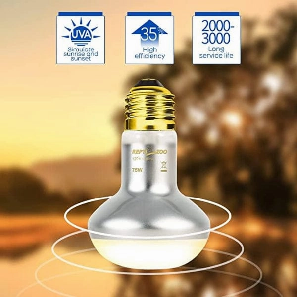 Reptizoo Combo Daylight & Nightlight Heat Lamps