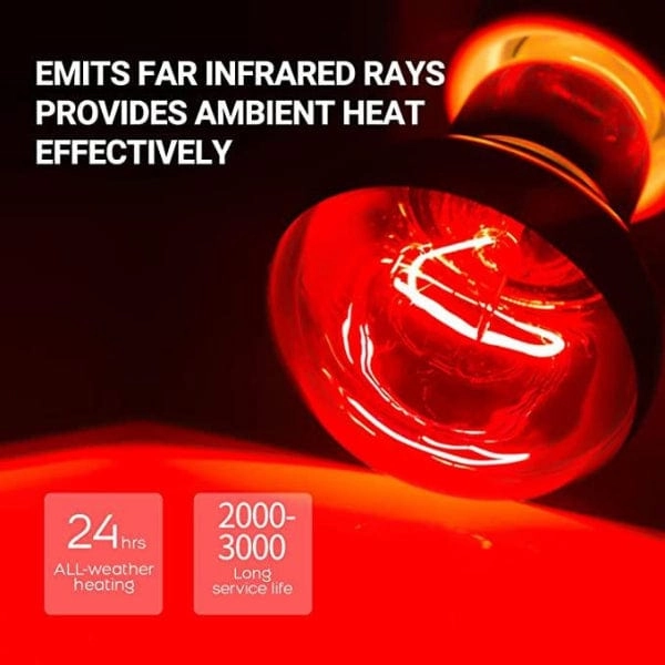 Reptizoo Combo Daylight & Nightlight Heat Lamps