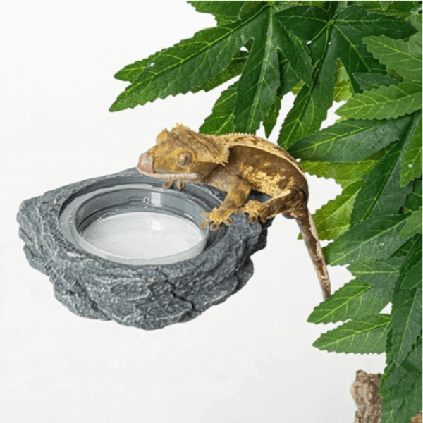 Reptizoo Reptile Magnetic Ledge Feeder