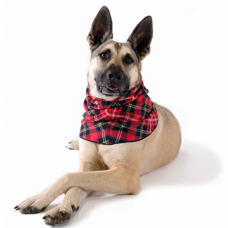 Reversible Snood Dog Neck Warmer Red Plaid/Black