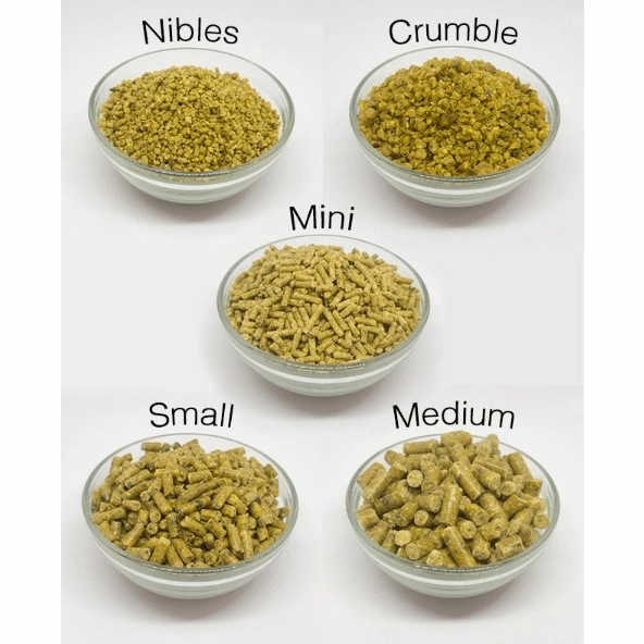 Roudybush Maintenance Bird Food; Different Sizes Available