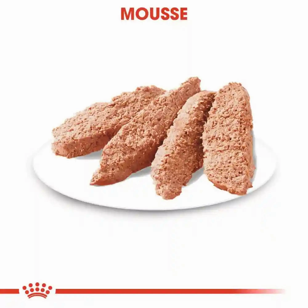 Royal Canin - Digestive Dog Loaf Wet Food 85g