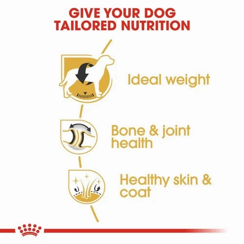 Royal Canin - Labrador Retriever Adult - 12kg
