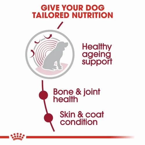 Royal Canin - Medium Ageing 10  Dogs Dry Food 3kg