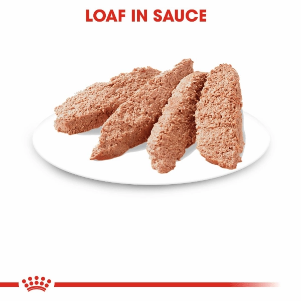 Royal Canin Adult Instinctive Loaf in Sauce Canned Cat Food