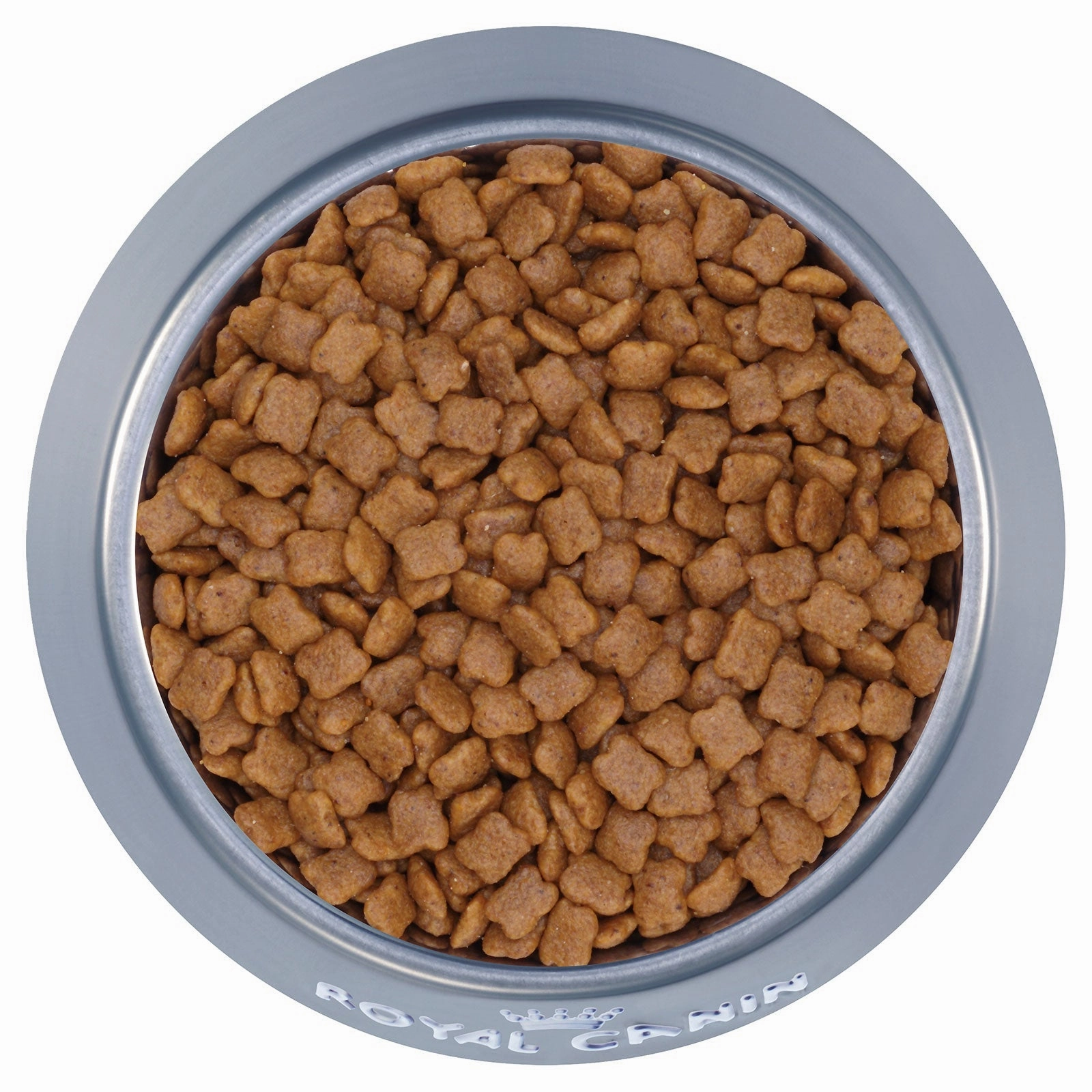 Royal Canin Cat Food Kitten