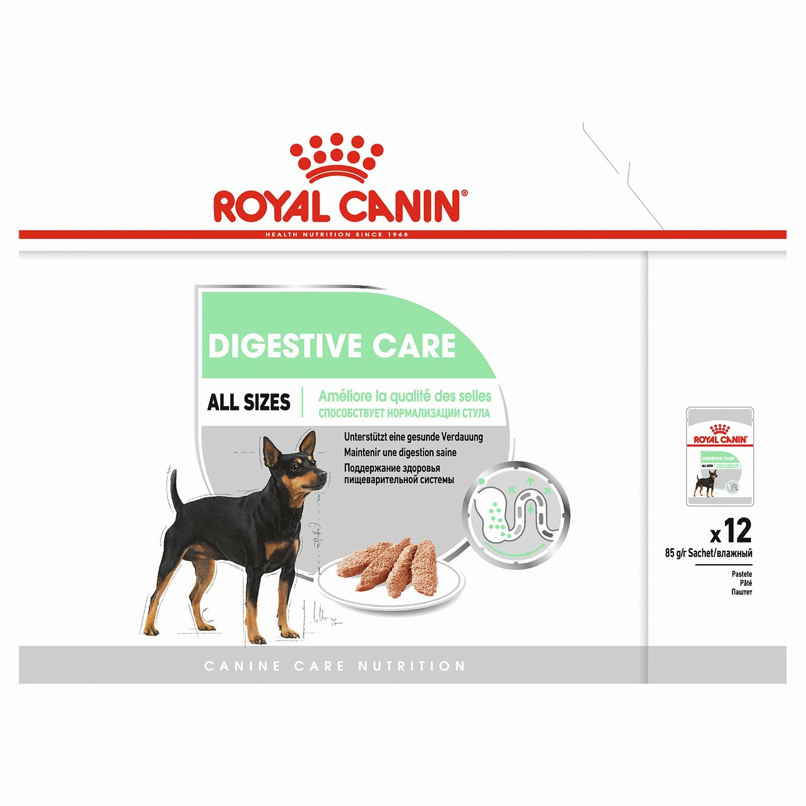 Royal Canin Dog Food Pouch Digestive Care