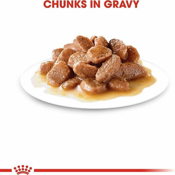 Royal Canin Hair & Skin Care Chunks in Gravy Adult Cat Food Pouch