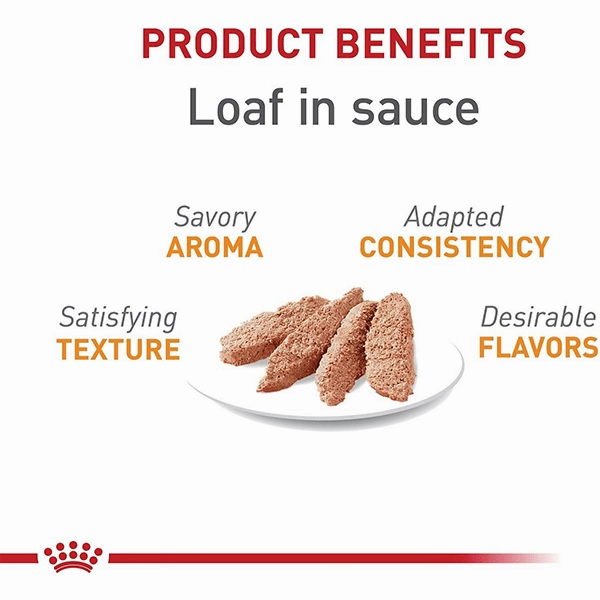 Royal Canin Hair & Skin Care Loaf in Sauce Canned Cat Food