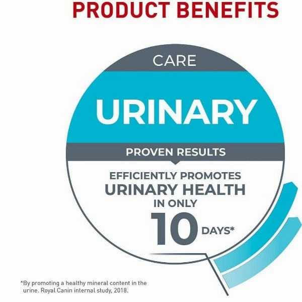 Royal Canin Urinary Care Thin Slices in Gravy Canned Cat Food 12 Pack