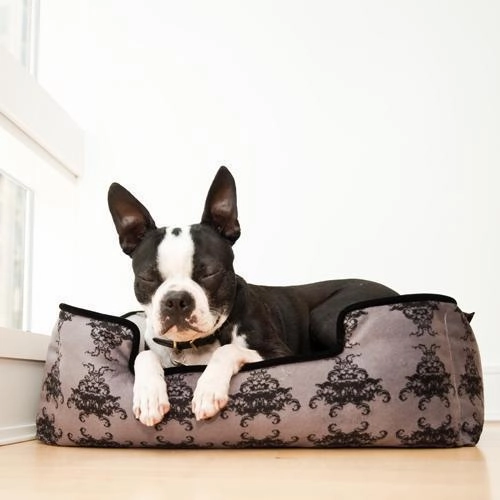 Royal Crest Lounge Dog Bed Ivory Black/Cool Grey