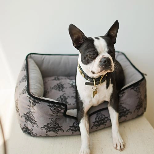 Royal Crest Lounge Dog Bed Ivory Black/Cool Grey