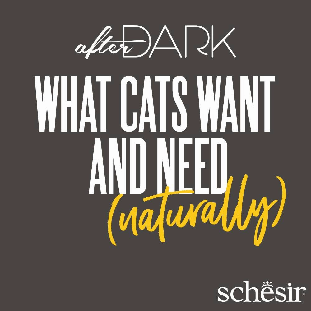 Schesir Cat After Dark Bundle B
