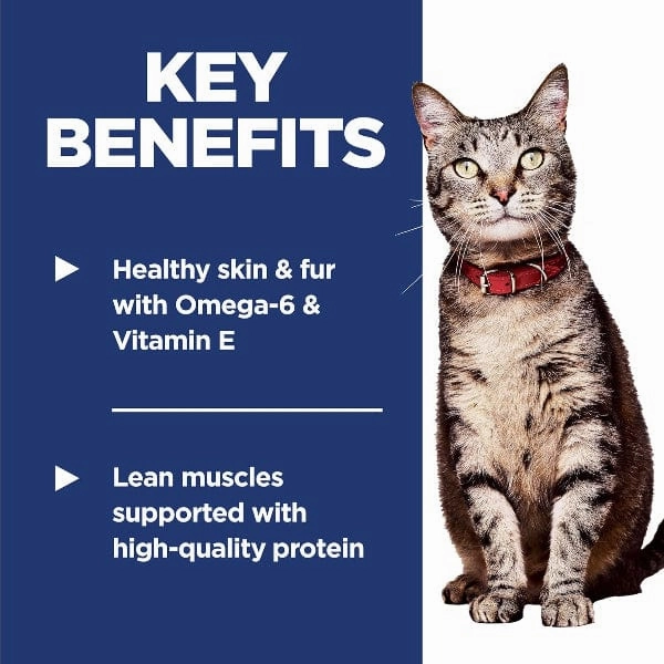 Science Diet Adult Chicken Recipe Dry Cat Food
