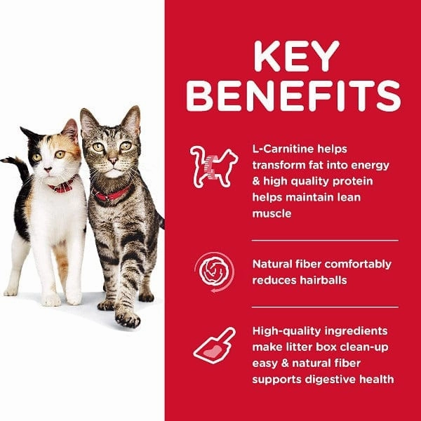 Science Diet Adult Multiple Benefit Chicken Recipe Dry Cat Food