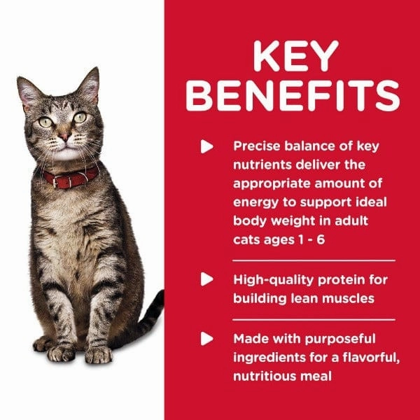 Science Diet Adult Savory Chicken Entree Canned Cat Food, 5.5oz