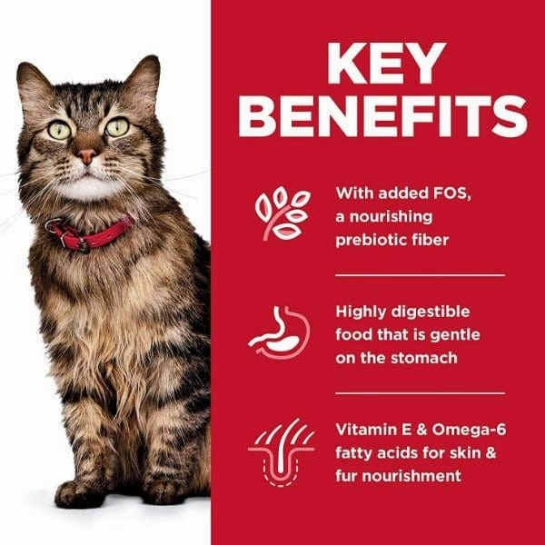 Science Diet Adult Sensitive Stomach & Skin Chicken Recipe Dry Cat Food