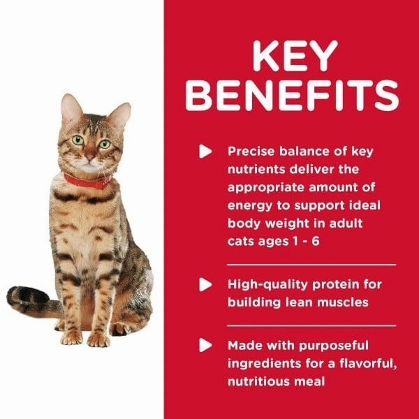 Science Diet Healthy Cuisine Roasted Chicken & Rice Medley Adult Canned Cat Food, 2.8oz