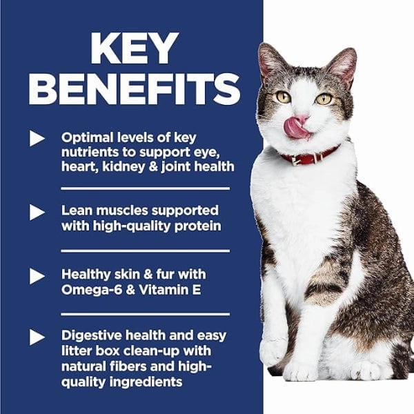 Science Diet Indoor Adult 11  Chicken Recipe Dry Cat Food