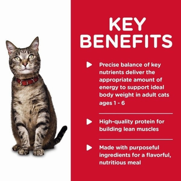 Science Diet Savory Turkey Entree  Adult Canned Cat Food, 5.5oz