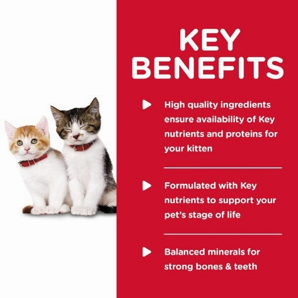 Science Diet Tender Chicken Dinner Canned Kitten Food, 5.5oz