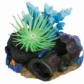 Sea Flower Spartan Relics Small Anemone Green