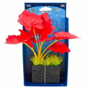 Select Red Plant With Square Base