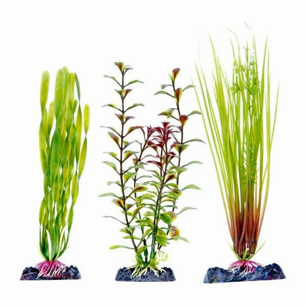 Sinker Plant Green Multipack (1) Lge (2) Med