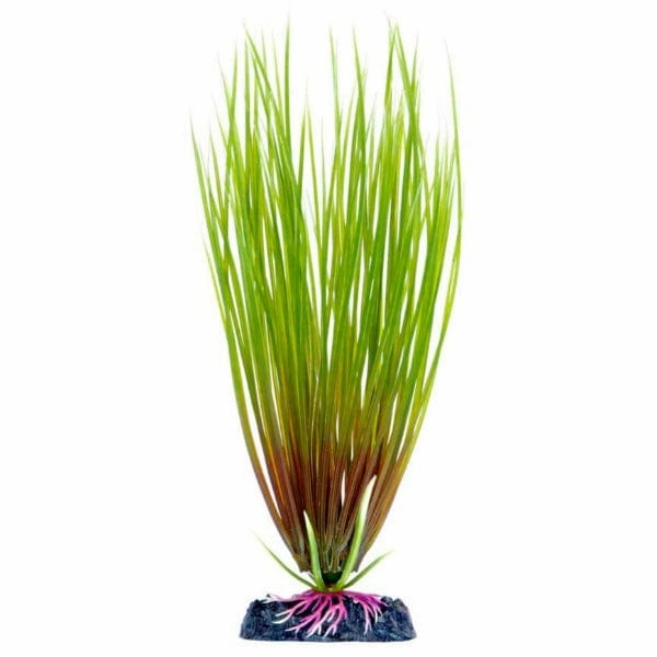 Sinker Plant Hair Grass Small