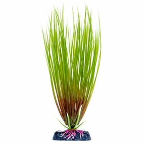 Sinker Plant Hair Grass Small