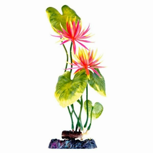 Sinker Plant Water Lily Red Large