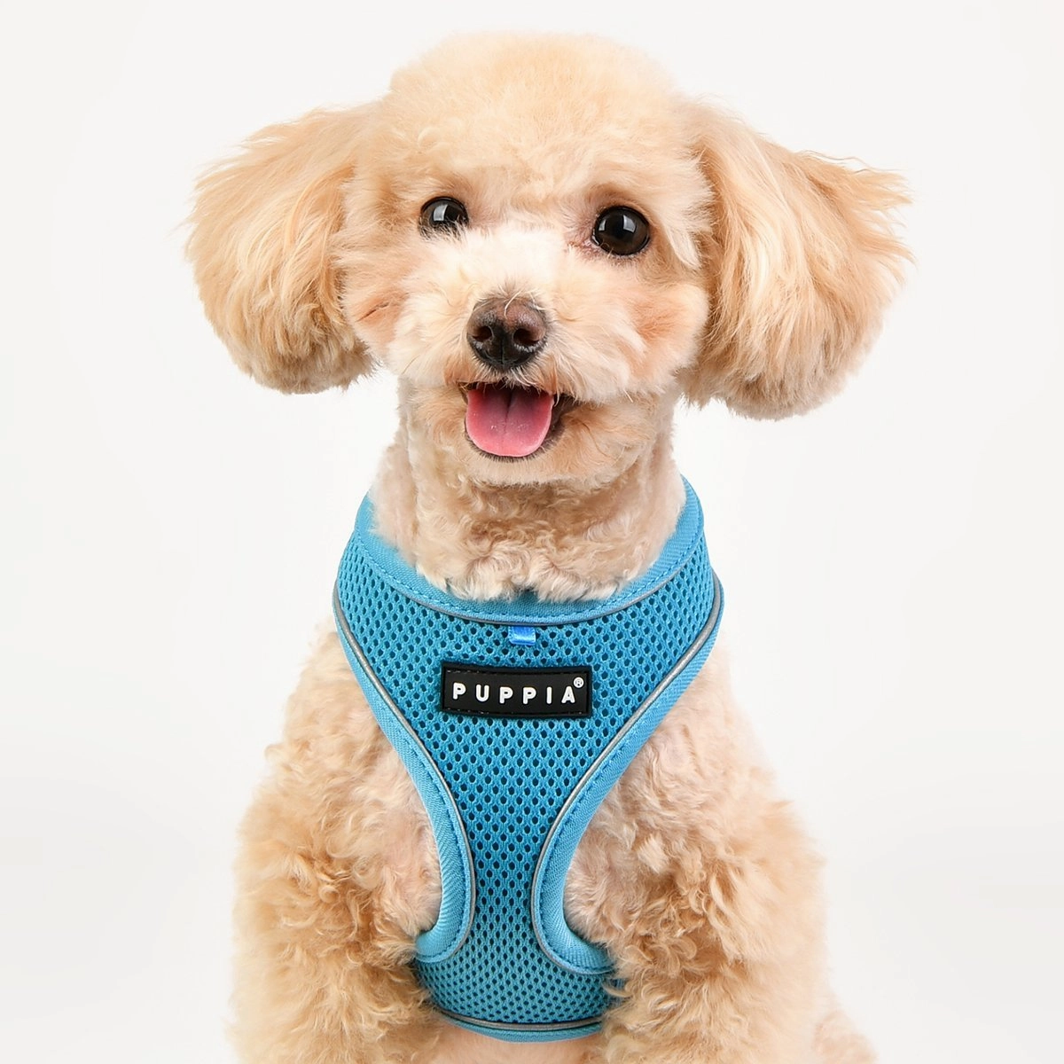 Soft Dog Harness Pro