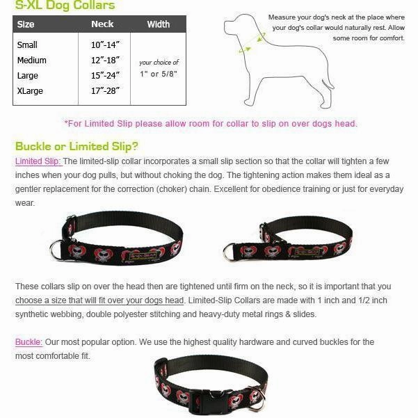 South Beach Dog Collar Small 1" Traditional Buckle