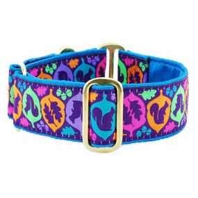 Squirrel Dog Collar