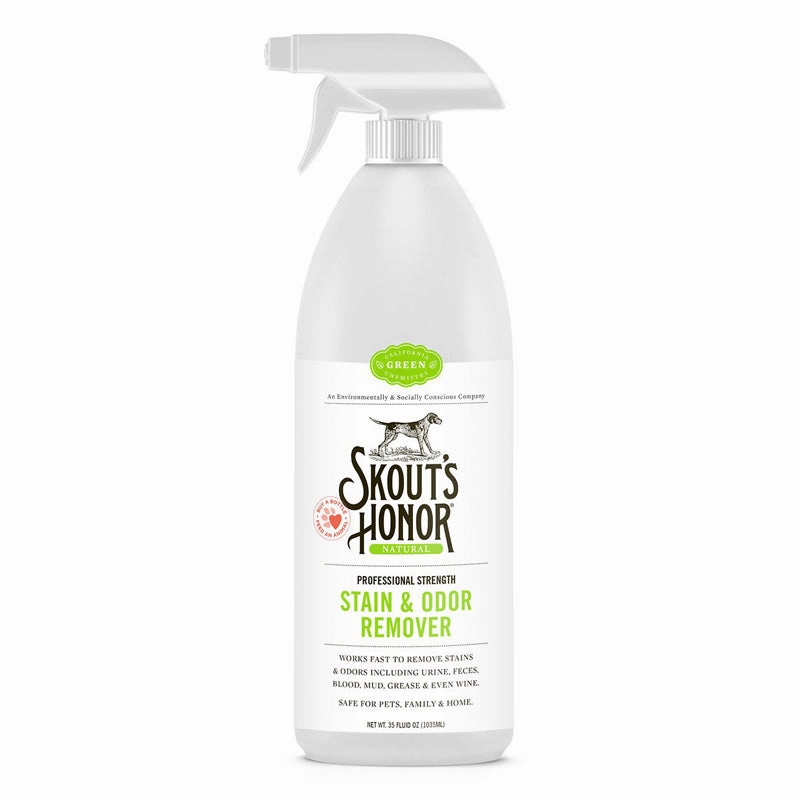 Stain & Odor Remover