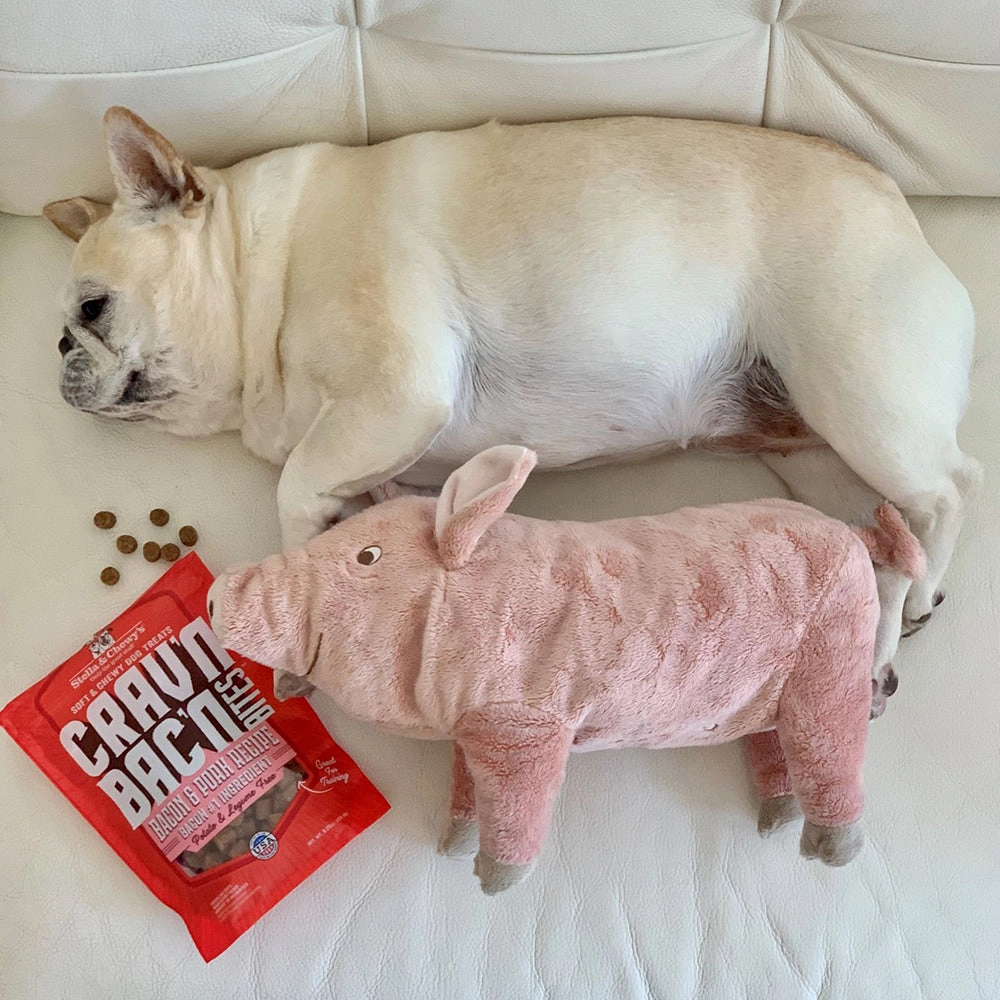 Stella & Chewy's Dog Crav'n Bac'n Bites - Bacon & Pork 8.25oz