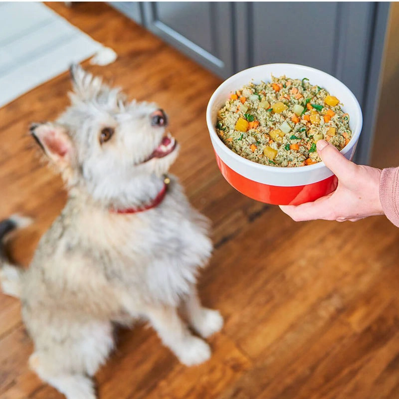 STELLA & CHEWY'S FreshMade Gently Cooked Chick-a-Lick'n Meal for Dogs